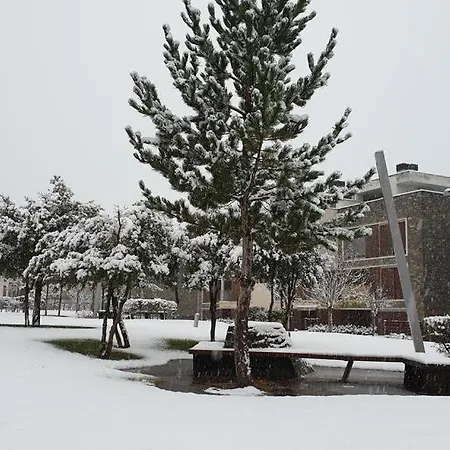 Apartamento Pirineo Aragonés, ¡apúntate A La Aventura! *